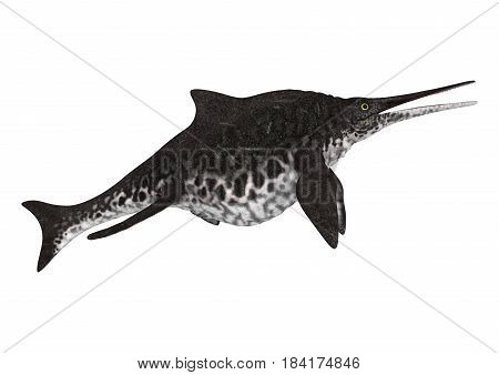 3D Rendering Ichthyosaur Shonisaurus On White