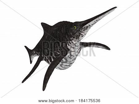 3D Rendering Ichthyosaur Shonisaurus On White