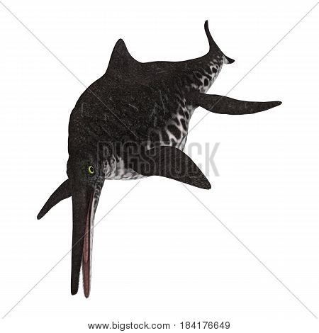 3D Rendering Ichthyosaur Shonisaurus On White