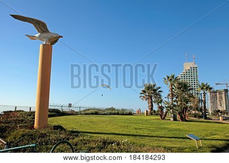 NETANYA, ISRAEL - AUGUST 29, 2015: Modern promenade with lawn buildings and gull bird sculpture on Mediterranean sea coast, Netanya, Israel. The coast and the quay of Netanya is a popular place for paragliding