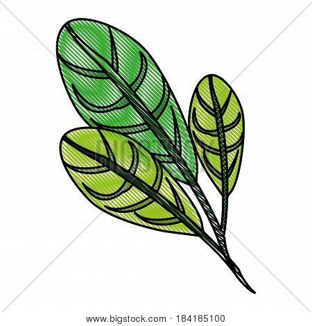 color blurred stripe image green leaves with ramifications vector illustration