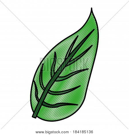 color blurred stripe image green leaf with ramifications vector illustration