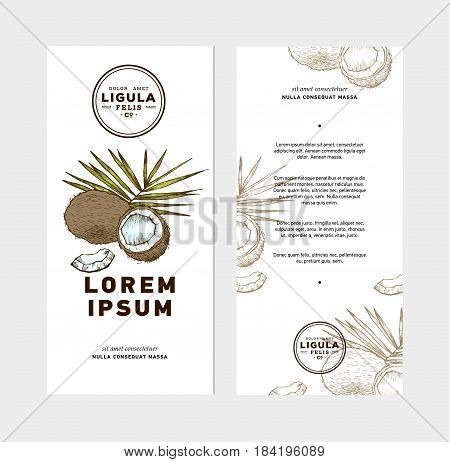Sketch vector tropical food illustration. Coconut nut vintage design template. Botanical fruit. Engraved coconut. Banner or flyer template.
