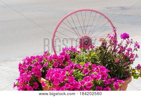Alghero Italy - April 29 2017: bike wheel painted in pink