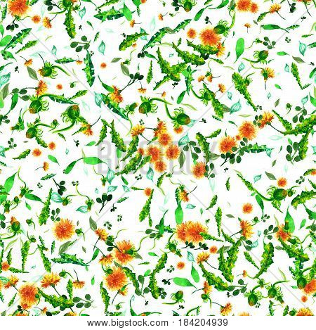 seamless pattern of wild flowers. yellow dandelions. watercolor