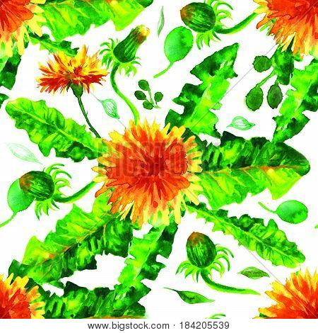 seamless pattern of wild flowers. yellow dandelions. watercolor