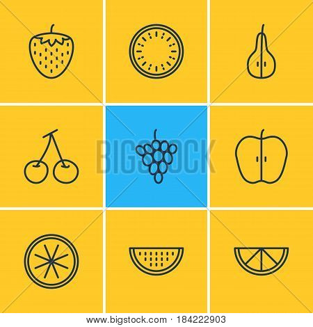 Vector Illustration Of 9 Berry Icons. Editable Pack Of Melon Slice, Morello, Orange And Other Elements.