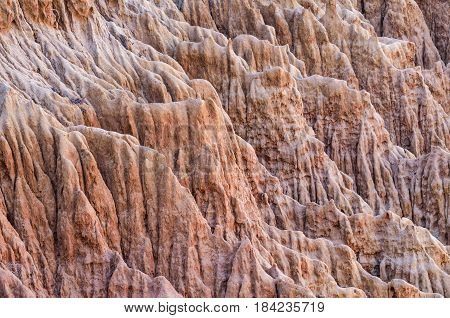 Closeup pattern of torrey pine eroded sandstone cliffs on coast in La Jolla by San Diego