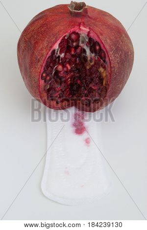 Menstruation Blood Pussy Regular Health Cycle Period Monthly Protect Pad Concept