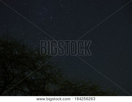 Clouds Passing In The Moon Light By Over A Forest And On A Night Sky Full Of Stars