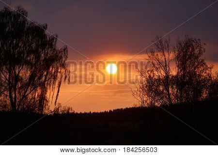 Romantic sunset with a weeping willow in the foreground. Orange and magenta colors.