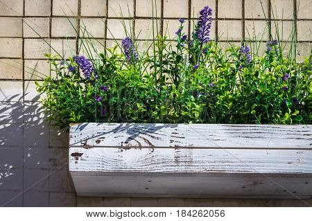 Wooden Box With Daisies On A Stone Wall