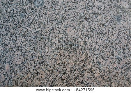 Photo of a homogeneous texture of polished white granite