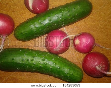 Radish the most precocious and early spring vegetables with bright color and slightly burning taste that give mustard oil Cucumber is the subject of agricultural greenhouse cucumbers herb widely used in cooking