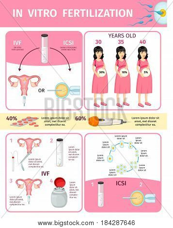 In vitro fertilization infographic concept with processes and procedures of artificial insemination and chances of pregnancy in different ages vector illustration