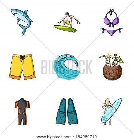 A collection of pictures on the theme of the beach, the sea, surfing. Rescuers of the beach.Surfing icon in set collection on cartoon style vector symbol stock web illustration.
