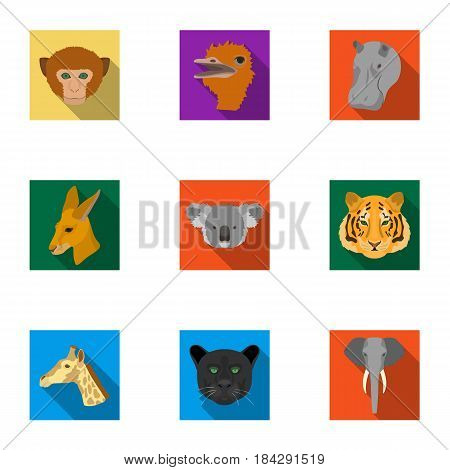 A set of icons of wild animals. Predatory and peaceful wild animals.Realistic animal icon in set collection on flat style vector symbol stock web illustration.