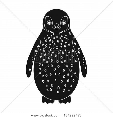 Penguin.Animals single icon in black style vector symbol stock illustration .