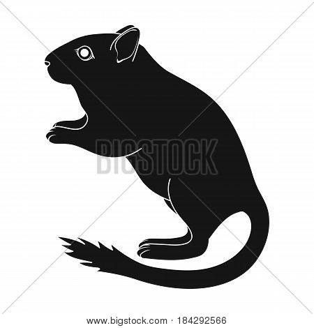 Gray gerbil.Animals single icon in black style vector symbol stock illustration .