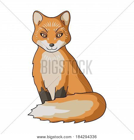 Red fox.Animals single icon in cartoon style vector symbol stock illustration .