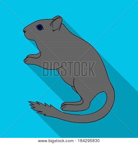 Gray gerbil.Animals single icon in flat style vector symbol stock illustration .