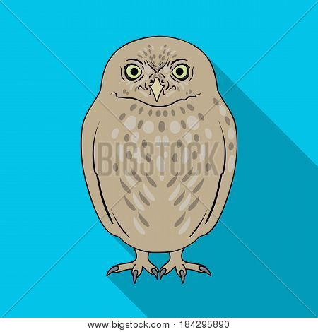 Owl.Animals single icon in flat style vector symbol stock illustration .