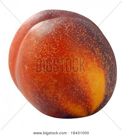 Prunus persica od broskev ovocné rodiny. Izolovaný s cestou na bílém pozadí.