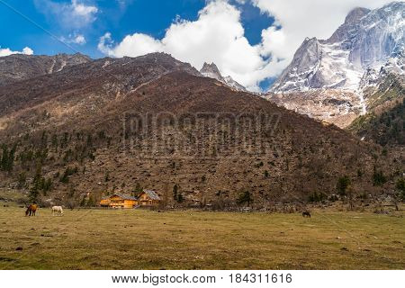View of snow mountain at Siguniang National Park in Sichuan China