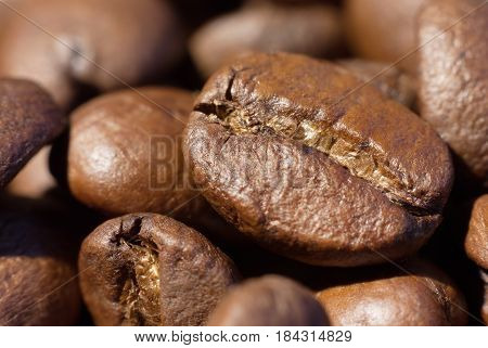 Roasted brown coffee beans close-up macro photo natural food background selective focue shallow depth of field.
