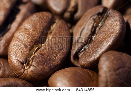 Two brown roasted coffee beans close-up macro view natural food background selective focue shallow depth of field.