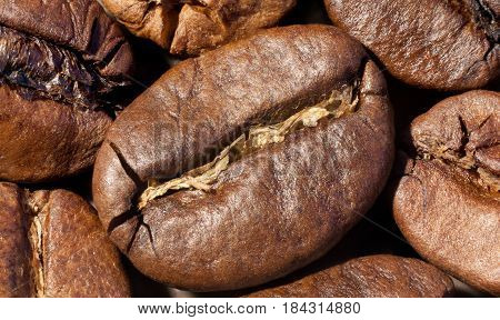 Brown roasted coffee beans close-up macro photo natural food background selective focue shallow depth of field.