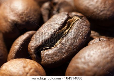 Brown roasted coffee bean in heap of coffee beans close-up macro photo natural food background selective focue shallow depth of field.