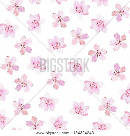 Watercolor drawing of fresh garden flowers aquarelle painting