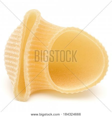 Italian lumaconi isolated on white background. Lumache, snailshell shaped pasta.