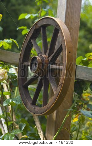 Rueda de pie