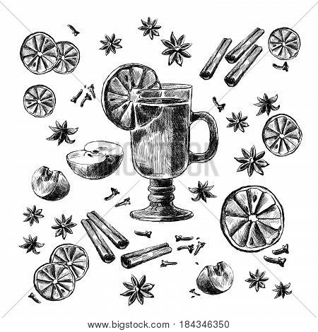 Mulled Wine and spices, orange, apple, cinnamon, carnation, anisetree. Hand drawn vector Illustration.