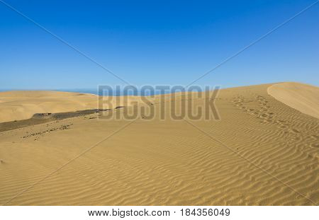 Maspalomas Dunes on the coast of Atlantic ocean on Gran Canaria Canary islands Spain