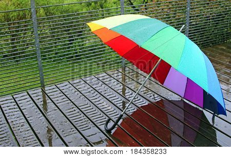 rain: multi colored umbrella on wet wood planks, green garden in the background