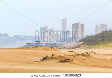 Heavy Wind  Blowing Sand On Beach Against City Skyline