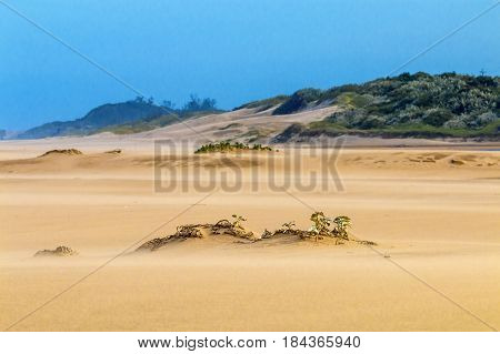 Heavy Wind  Blowing Sand On Beach Against Coastal Skyline