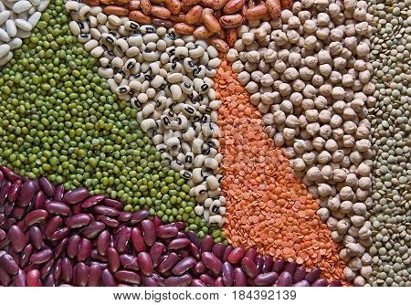 Beans, lentils and other legumes as colorful geometric shapes