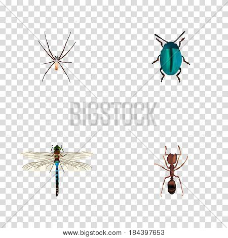 Realistic Damselfly, Emmet, Spider And Other Vector Elements. Set Of Hexapod Realistic Symbols Also Includes Ant, Spinner, Blue Objects.
