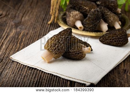 Fresh Morchella Conica, Seasonal Mushrooms.