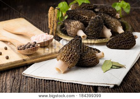 Fresh Morchella Conica, Seasonal Mushrooms.
