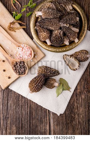 Fresh Morchella Conica, Seasonal Mushrooms