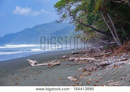 Mist in Corcovado National Park beach and forest, Osa Peninsula, Costa Rica