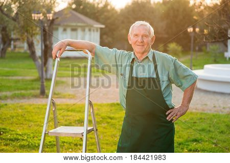 Old gardener smiling. Man with stepladder outdoors.