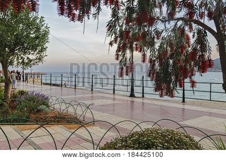 promenade in town Santa Eularia Ibiza Spain