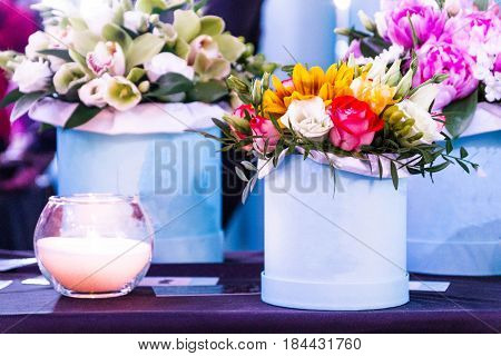 Arrangement of flowers. The scenery of flowers. Flowers in a decorative pot.