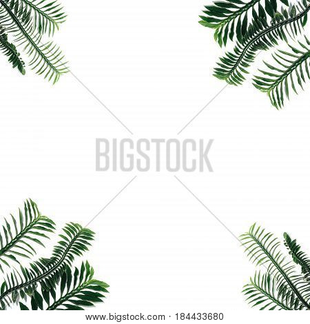 Green Leaf Isolated